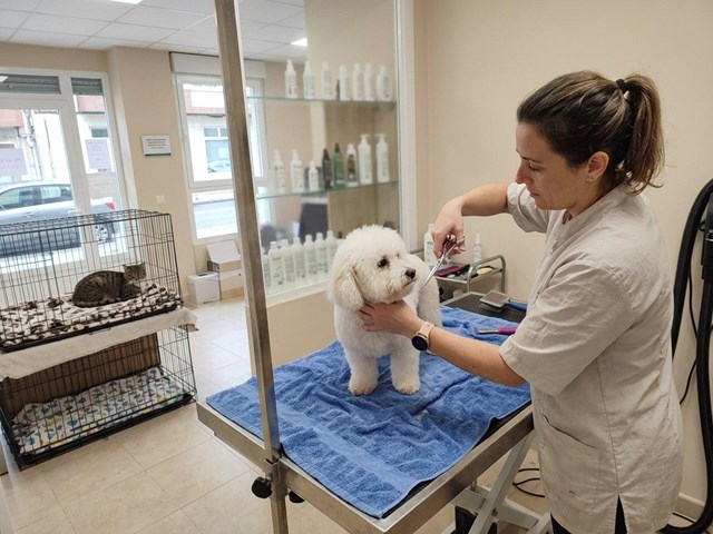 Cortes higiénicos y baños terapéuticos: la peluquería canina y felina en Ferrol