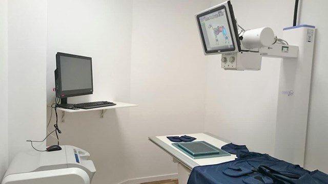 ¿Emergencia con tu mascota? Urgencias veterinarias 24 horas en Ferrol - Imagen 1