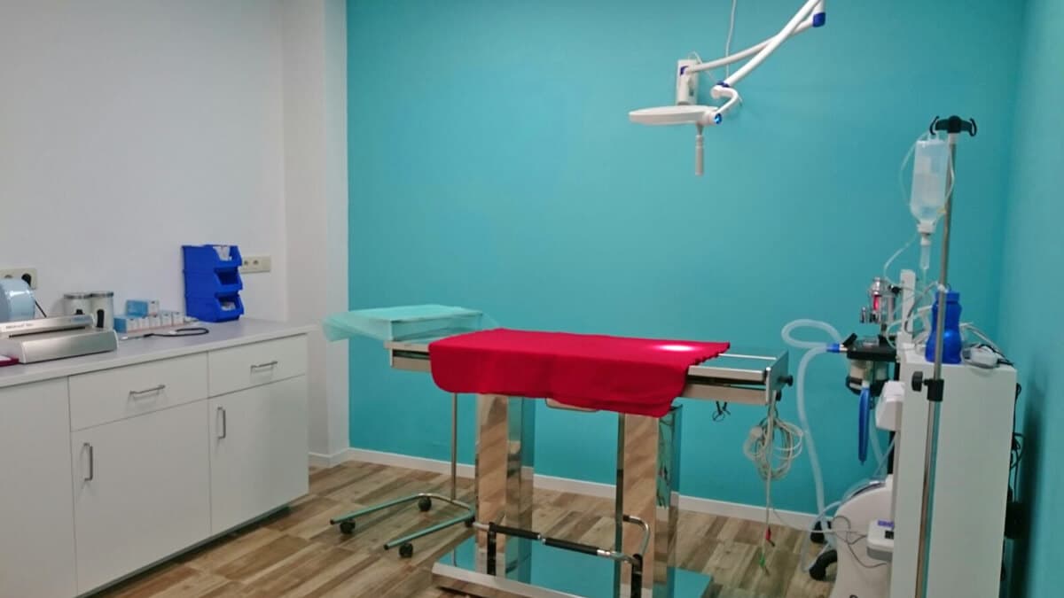 Instalaciones de Clínica Veterinaria Bichopolis