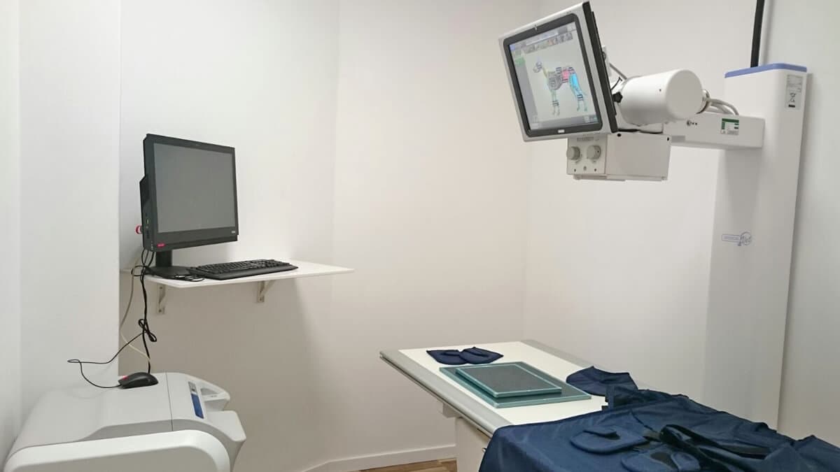 Instalaciones de Clínica Veterinaria Bichopolis