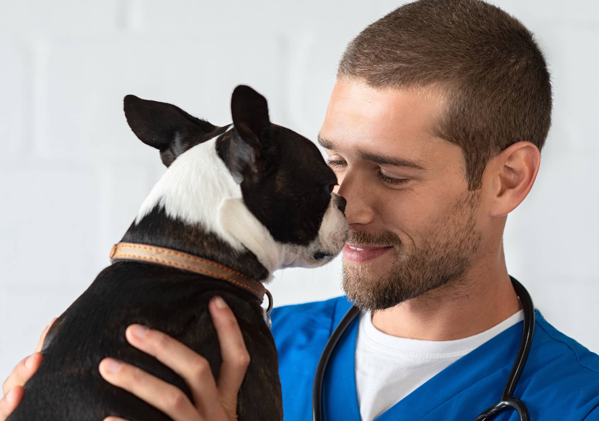 Clínica veterinaria en Ferrol