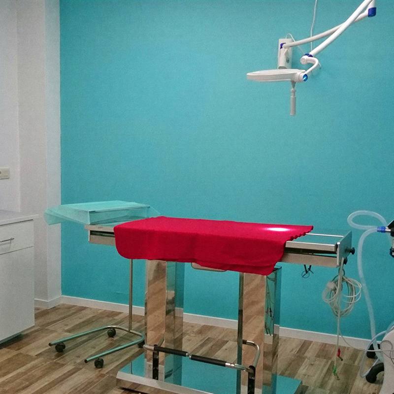 Quirófano del catálogo de servicios de Bichopolis, clínica veterinaria en Ferrol