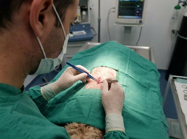 Recuperación más rápida con cirugía general y endoscopia en Ferrol - Imagen 1