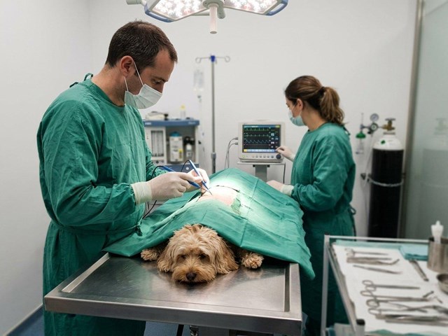 Recuperación más rápida con cirugía general y endoscopia en Ferrol